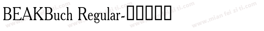BEAKBuch Regular字体转换